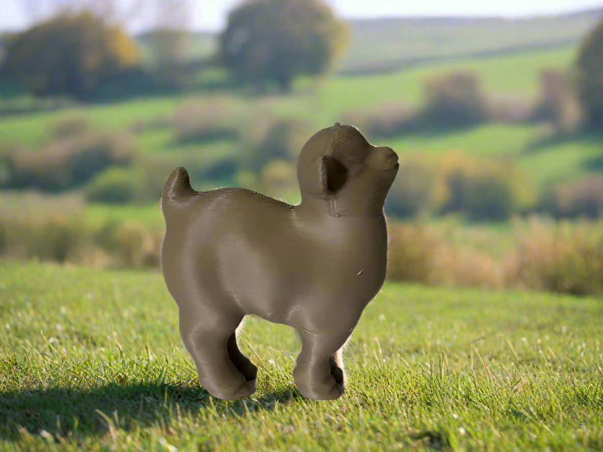 3-D Printed Goat