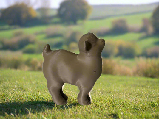 3-D Printed Goat